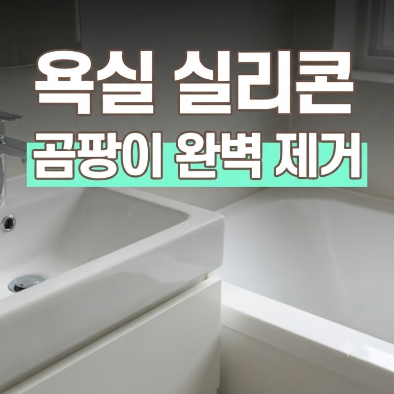 화장실 욕조 구석진 실리콘 틈새에 생기는 붉은 물때와 곰팡이 방지 팁