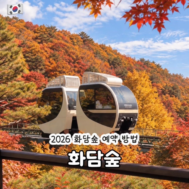 화담숲 예약 방법 2026 가을 단풍 모노레일 주차 총정리