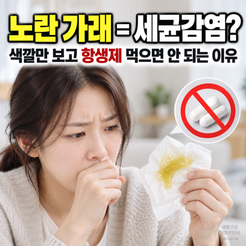 노란 가래 나오면 세균감염? 가래 색깔별 원인과 병원 가야 할 신호