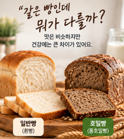 매일 먹는 빵, 호밀빵으로 바꾸면 뭐가 달라질까? 4가지 비교