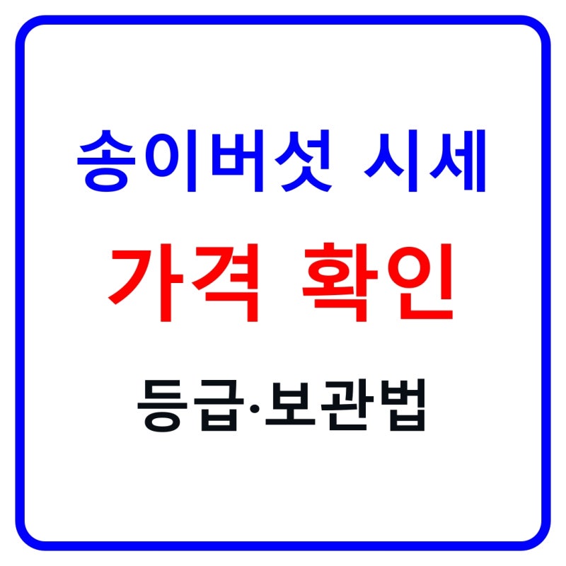 송이버섯 시세 2026｜1kg 가격 보는 법·등급 차이·국산 자연산·보관법 총정리