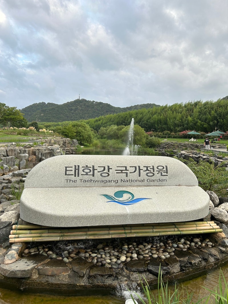 [울산 가볼만한곳] 태화강국가정원 산책 코스 | 십리대숲 맨발길, 관람차 시간표, 안내센터 ....