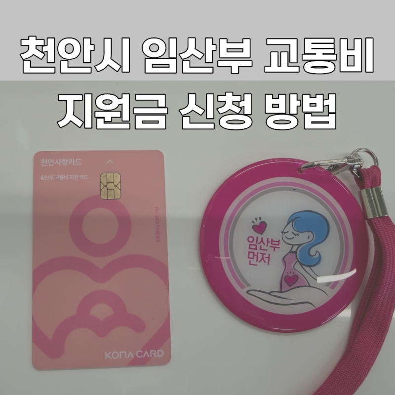 2026년 천안시 임산부 교통비 지원금 신청 방법 & 천안사랑카드 사용 꿀팁 총정리