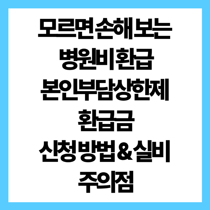 본인부담상한제 환급금 직접 받아본 후기! 실비 중복 청구 주의사항 & 신청 꿀팁 정리