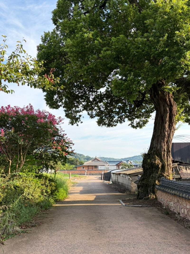 광주근교 나주 가볼만한곳 도래마을