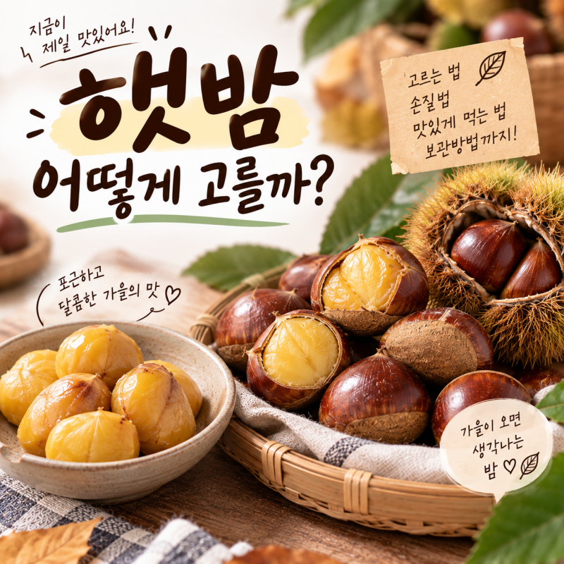 햇밤 어떻게 고를까? 맛있는 밤 고르는 법·손질법·껍질 까는 법·보관방법