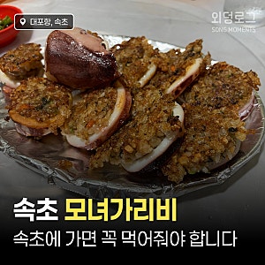 [속초] 대포항 모녀가리비 | 누룽지 오징어순대 · 치즈 키조개구이 솔직 후기