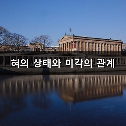 갑자기 밥맛이 뚝 떨어지는 미각 상실 왜 그런 걸까요?