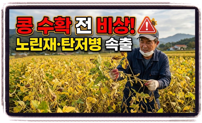 콩 생육 후기 병해충 방제, 수확량과 품질을 지키는 마지막 관리