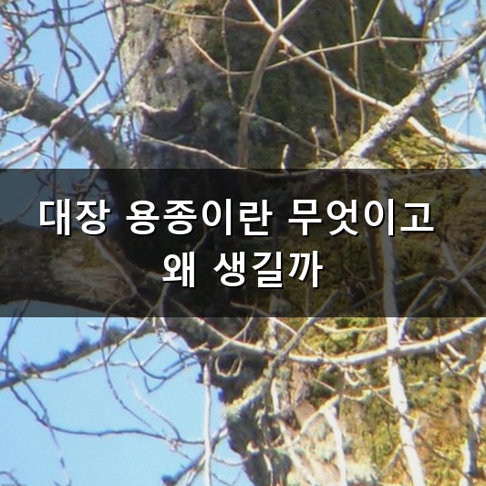 대장 용종 절제술 건강검진에서 용종이 발견되었다면 어떻게 해야 할까