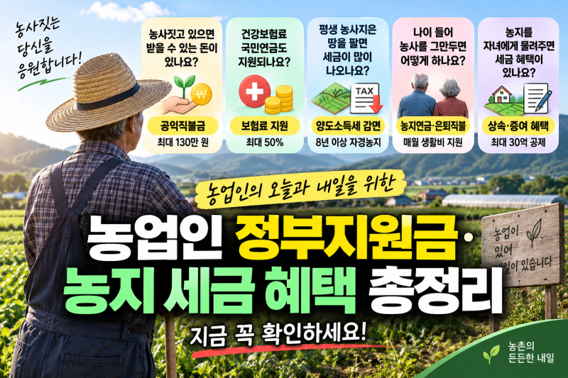 농사짓고 있다면 꼭 확인하세요! 농업인 정부지원금·직불금부터 농지 세금·연금 혜택까지 ....