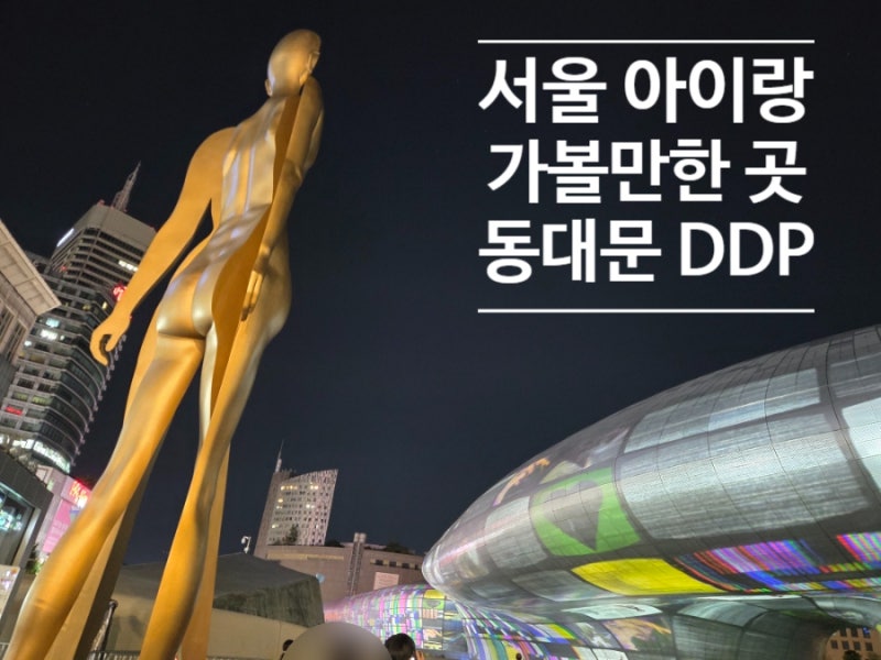 아이랑 가볼만한 곳 동대문 디자인플라자 서울라이트DDP 동대문 주차장정보
