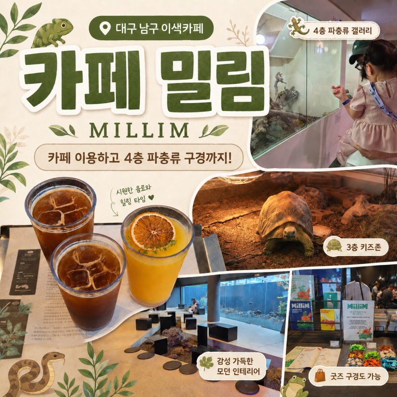 대구 남구 아이와 가볼만한곳 카페 밀림｜3층 키즈존부터 4층 파충류 구경까지