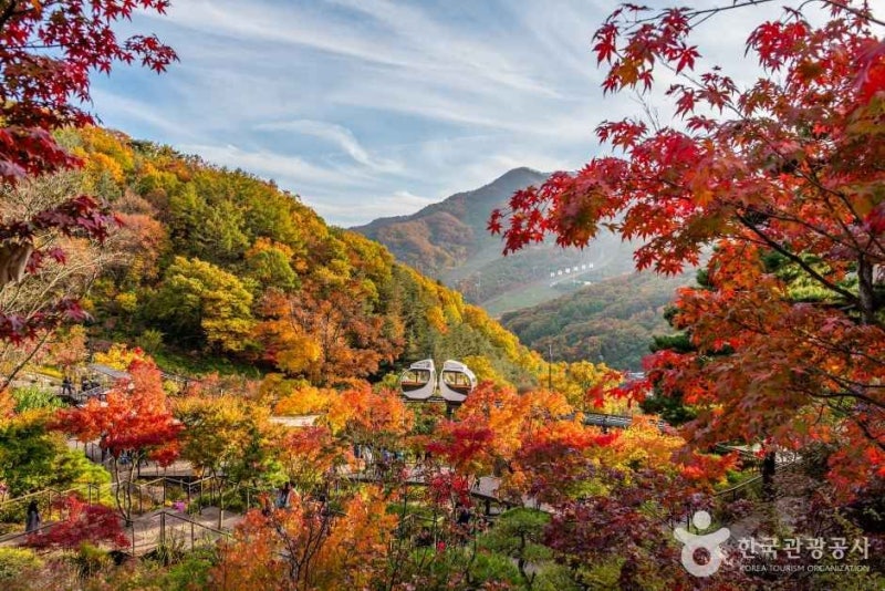 2026 화담숲 단풍 예약·모노레일·절정시기·주차 총정리