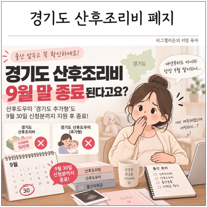 "10월 출산인데 날벼락"...경기도 산후조리비 폐지, 산후도우미 추가형 9월말 종료