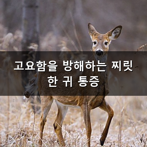 귓속이 먹먹하고 찌릿한 중이염 증상 왜 자꾸 반복될까?