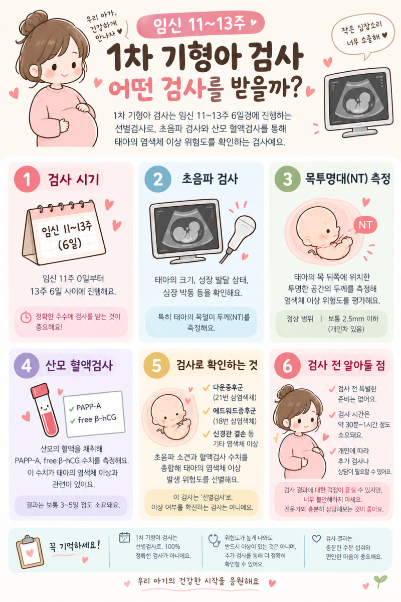 임신 1차 기형아 검사｜11~13주, 어떤 검사를 받을까?