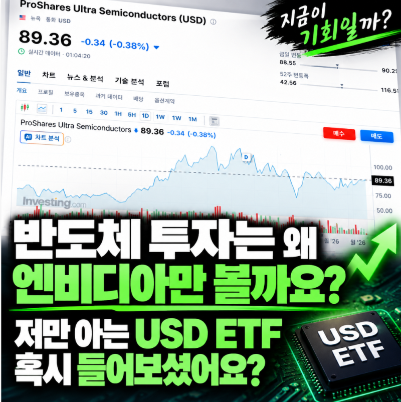 반도체 투자는 왜 엔비디아만 볼까요? 저만 아는 USD ETF 혹시 들어보셨어요?