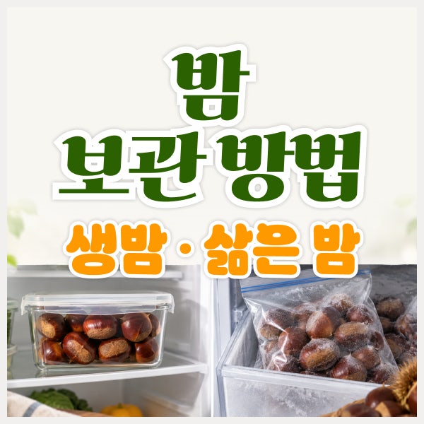 밤 보관법 냉장 냉동 총정리, 오래 두고 맛있게 먹는 방법