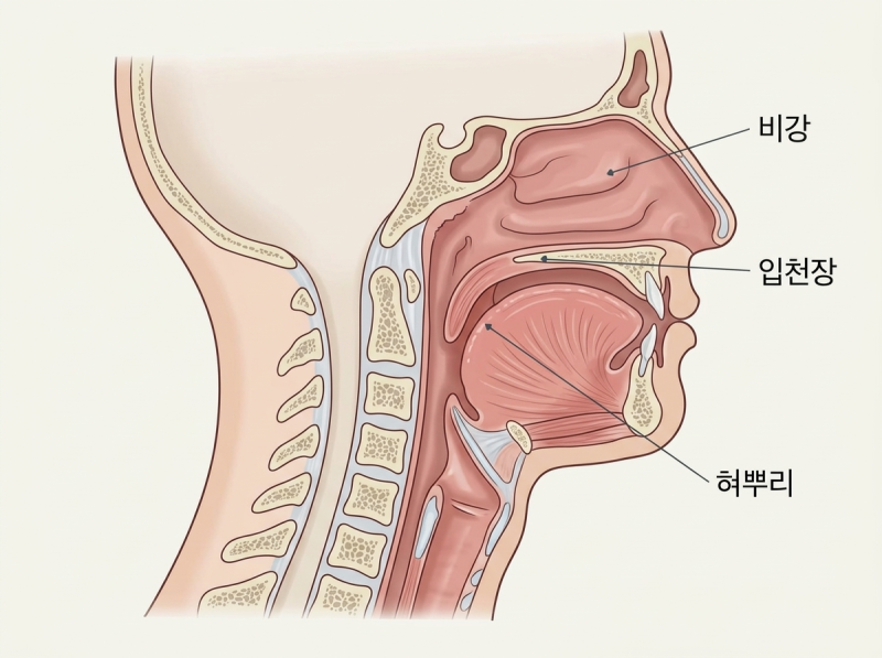 코골이고치는법, 양압기로 무호흡 잡은 그 다음 관리법