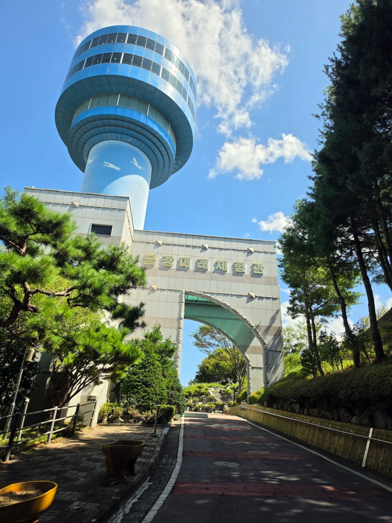 군산 가볼만한곳 금강미래체험관｜11층 전망대·주차·추천동선 후기