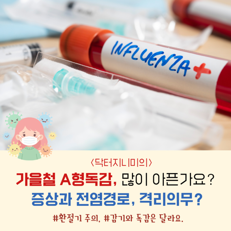 다시 유행하는 가을철 A형 독감, 많이 아픈가요? 증상과 전염경로, 격리 의무?