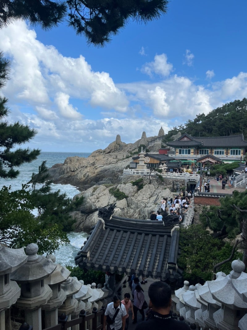 釜山機張必訪景點 | 韓國最美麗的寺廟釜山海東龍宮寺以及水產科學館