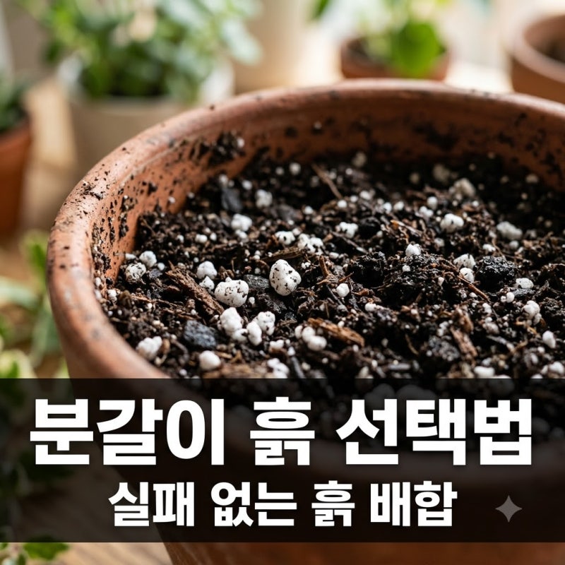 분갈이 흙 아무거나 쓰면 안 되는 이유! 식물별 맞춤 배합법 정리