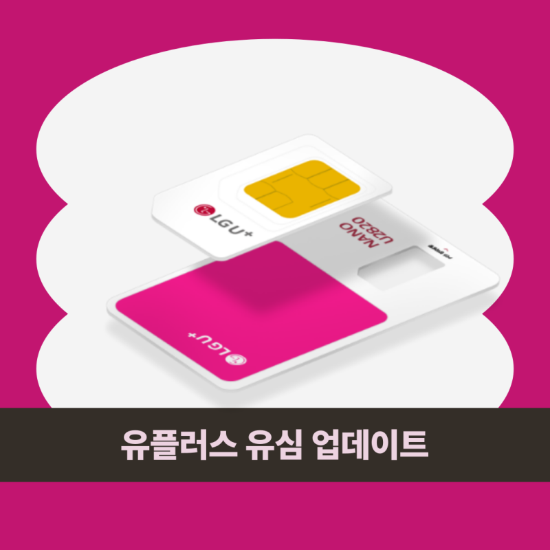 유플러스 유심 업데이트 및 유심 교체 전에 확인해야 할 것 (feat. 연락처, 티머니, 은행)
