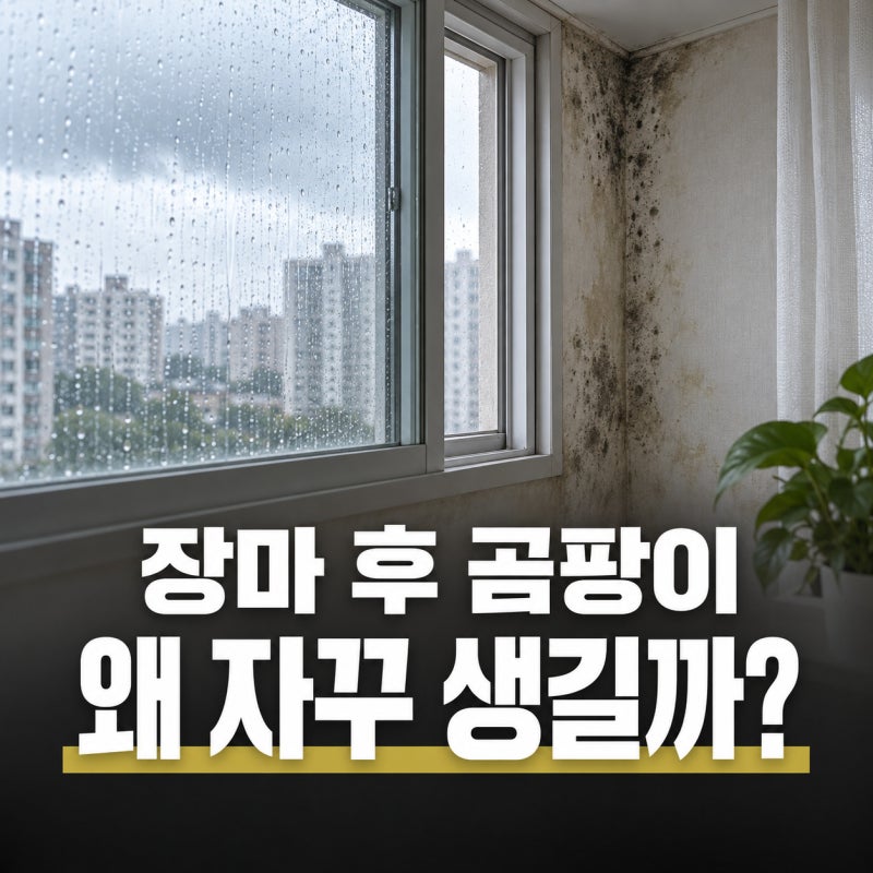 장마 후 곰팡이 제거 완결판｜벽지·창틀·실리콘 부위별 청소와 재발 방지