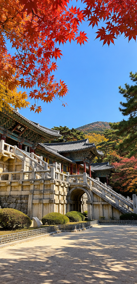 부산 근교 가을 당일치기 여행(+단풍 명소 추천)