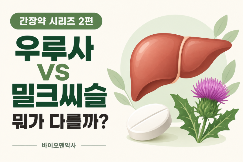 [약사 칼럼]약사가 알려주는 간장약 제대로 알기 2편 - 우루사 vs 밀크씨슬, 뭐가 다를까?
