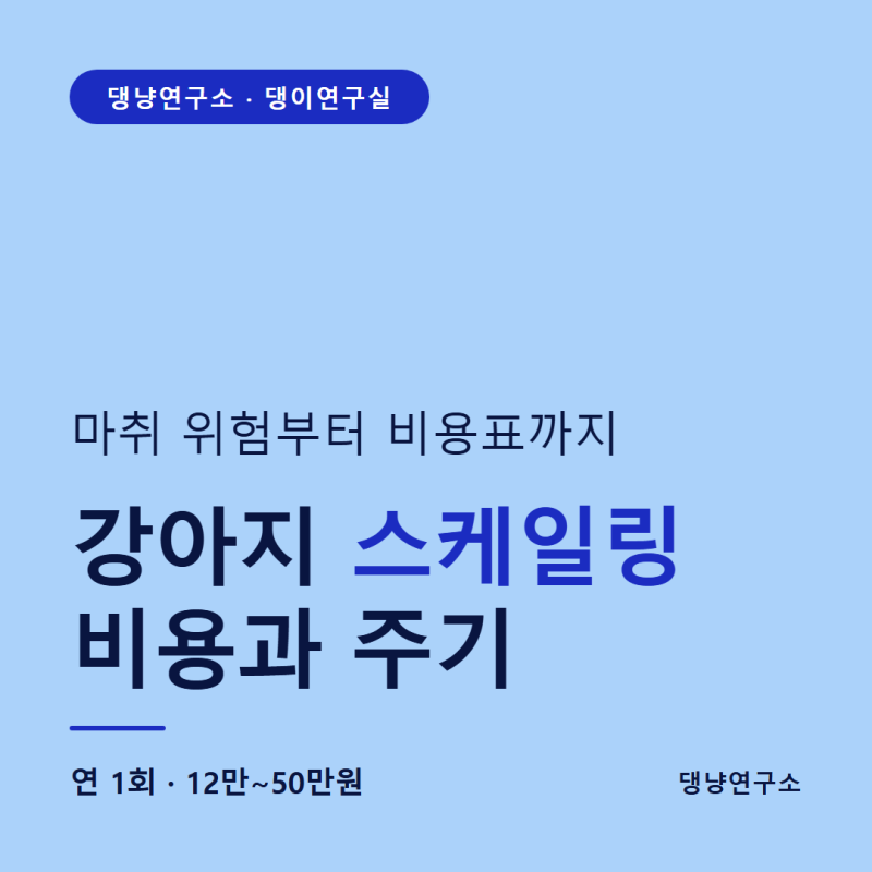 강아지 스케일링 비용과 주기, 마취 위험부터 비용표까지 총정리