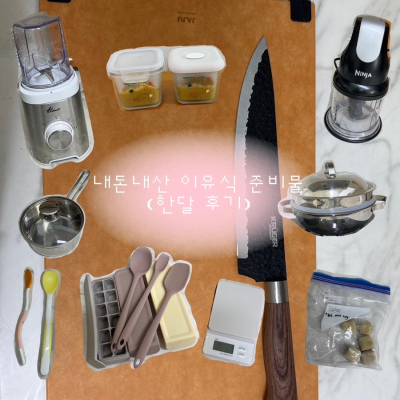 [내돈내산]이유식 준비물 추천, 비추천 한달 사용후기(퍼기 조리도구&큐브틀, 닌자초퍼, 글라....
