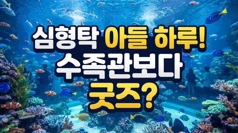 심형탁 아들 하루, 아쿠아리움보다 '굿즈'에 신난 사연 ('슈돌')
