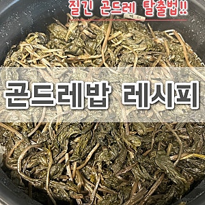 곤드레밥 만드는법 전기밥솥으로 간단하게｜곤드레 부드럽게 삶는 법부터 양념장까지