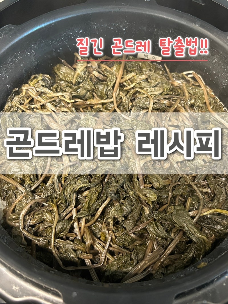 곤드레밥 만드는법 전기밥솥으로 간단하게｜곤드레 부드럽게 삶는 법부터 양념장까지