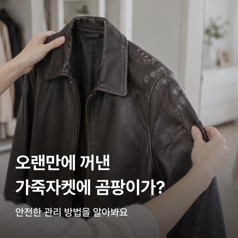 가죽자켓 곰팡이 어떻게 없앨까? 집에서 관리하는 법부터 보관까지