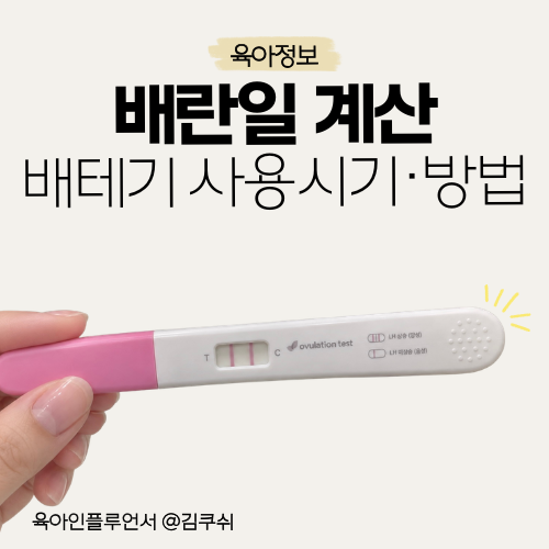 가임기계산 배란테스트기 사용시기, 방법, 배란일계산기 안 맞을 때 대처