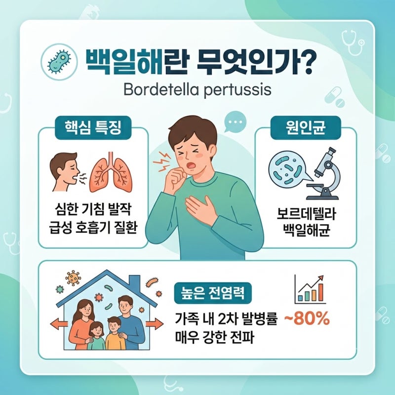 백일해 예방접종 시기 임산부 기준과 권장 주수 정리