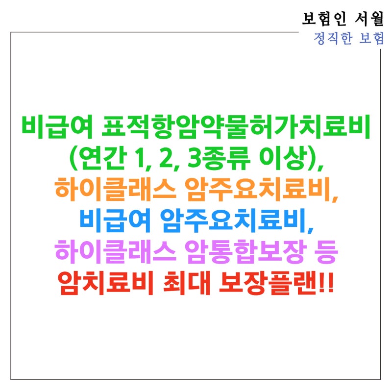 비급여 표적항암약물허가치료비(연간 1, 2, 3종류 이상), 하이클래스 암주요치료비, 비급여 암....