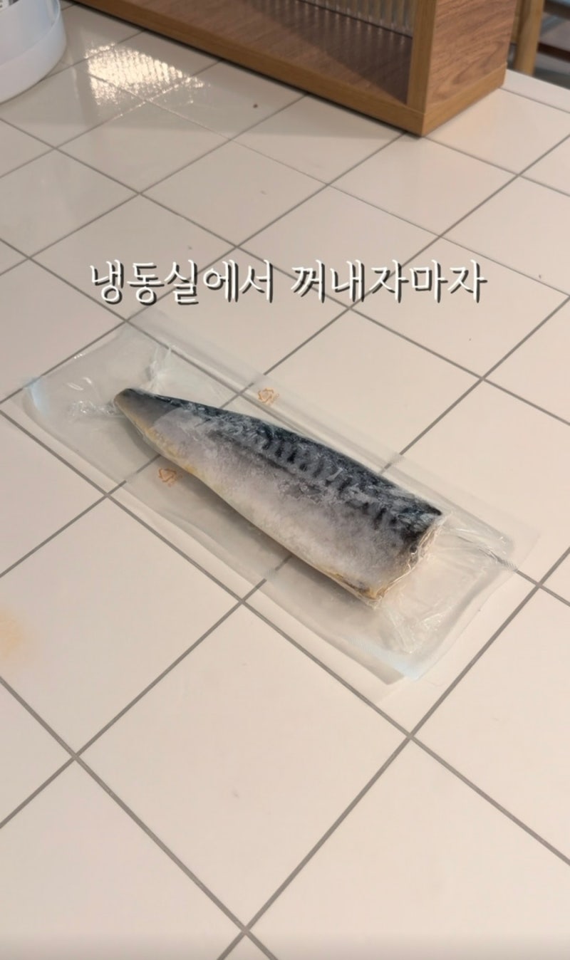 전자레인지에 생선을 돌렸더니!! 클레버리 전자렌지 그릴 후기