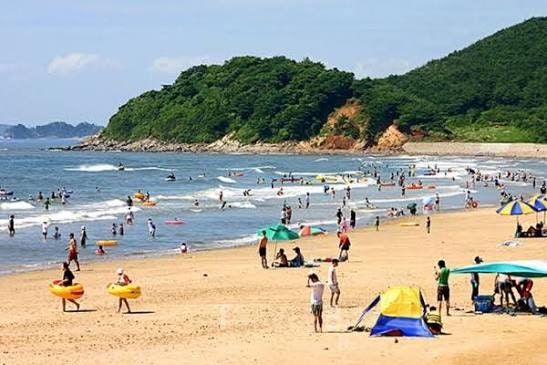 9월 태안 가볼만한곳, 1만6900원 투어패스로 어디까지 갈 수 있을까?