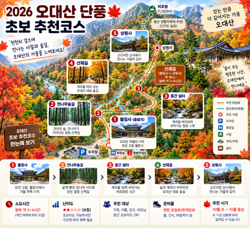 2026 오대산 단풍 절정시기·선재길·월정사·주차 총정리