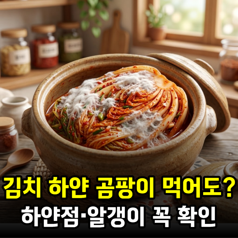김치 하얀 곰팡이 먹어도 되나? 하얀점·알갱이 생겼다면 꼭 확인하세요