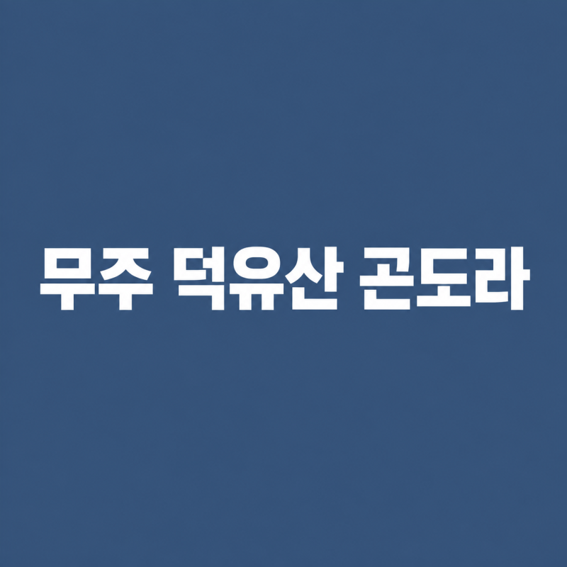 무주 덕유산 곤도라 예약 방법 요금표 할인 꿀팁 및 운행 시간 안내