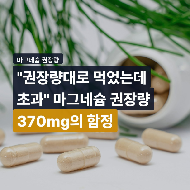 "권장량대로 먹었는데 초과" 마그네슘 권장량 370mg의 함정