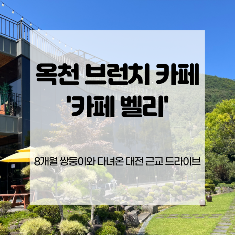 [대전 근교 카페] 옥천 카페 벨리(VALLEY) | 8개월 쌍둥이와 다녀온 브런치 맛집(아기의자·좌식....