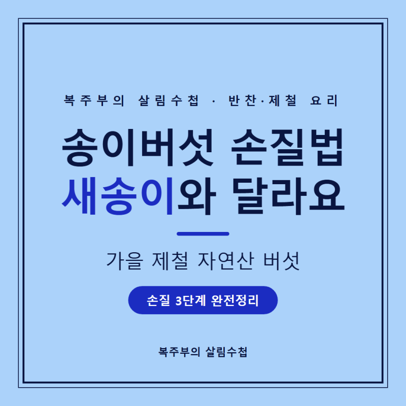 송이버섯 손질법 총정리, 새송이버섯 구분부터 보관법까지 정리했어요
