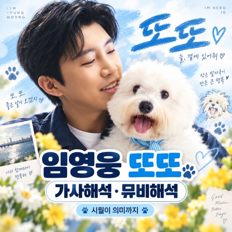임영웅 또또 뜻, 가사 해석, 뮤직비디오 분석, 알고 들으면 더 사랑스러운 이유